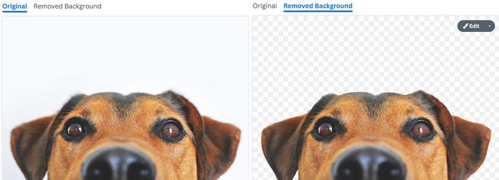 很好用的抠图软件有什么,proknockout智能抠图手动抠图