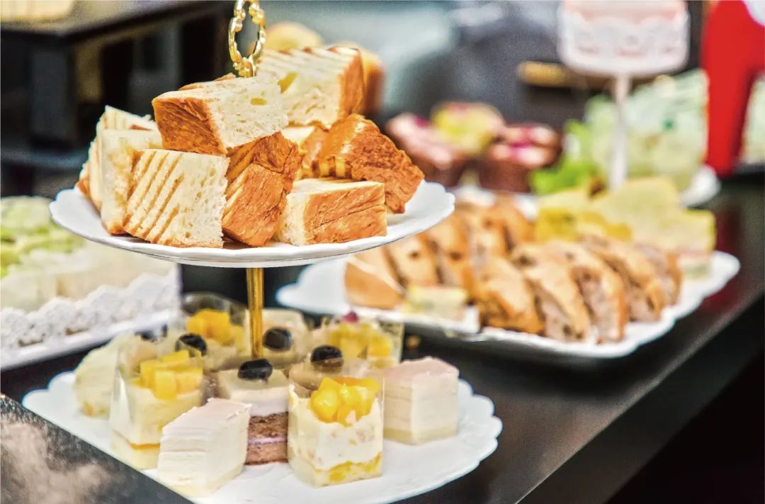 沈阳城市学院报考条件,沈阳城市学院2024年招生简章