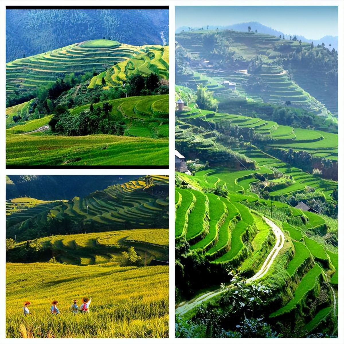 洪江雪峰山高铁索道,雪峰山高铁索道项目