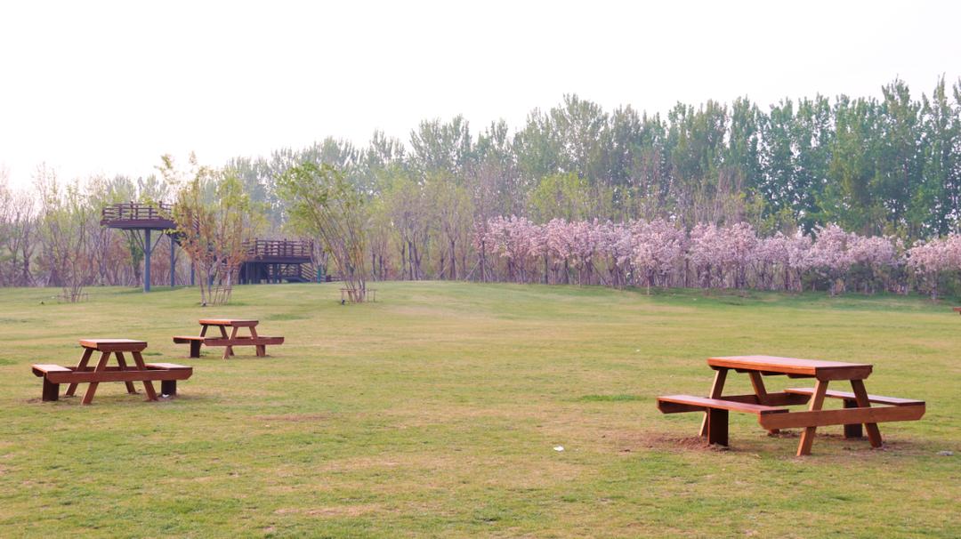 南京大厂露营,十一期间露营地