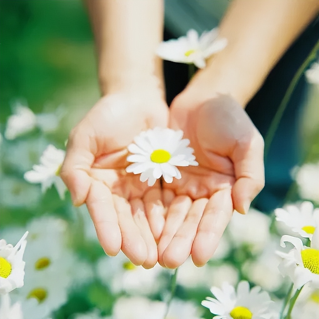 微信上从不发朋友圈的女人，不是低调，十有八九是五种人