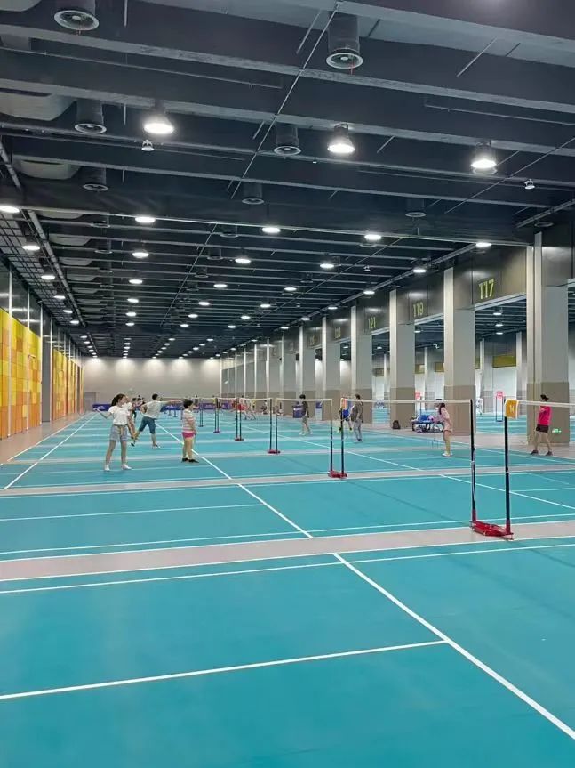 收藏乒乓球推荐,收藏价值高羽毛球拍