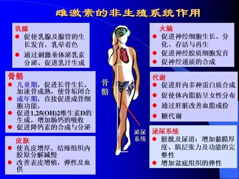 雄激素分泌旺盛是卵巢引起的吗,卵巢分泌少量雄激素的作用