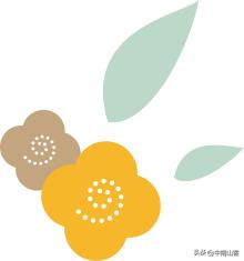 新手必学抖音12招,最火抖音踩点三步舞步