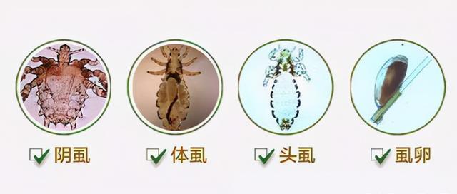 人类进化体毛为什么保留,脱毛血泪史解说