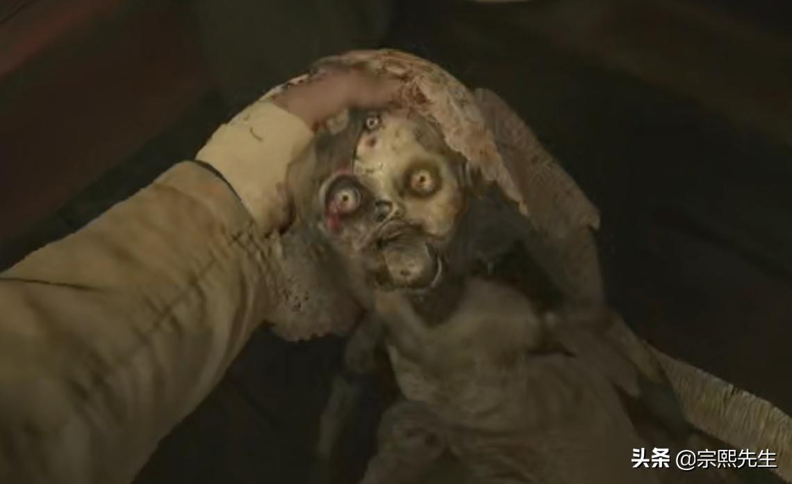 鲤鱼ace解说生化危机8村庄,生化危机8最高难度村庄诡影速通