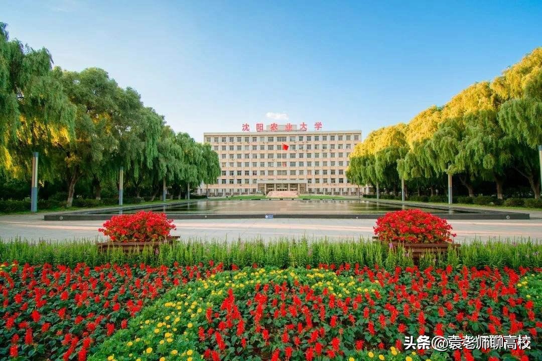沈阳农业大学、吉林农业大学和内蒙古农业大学,三所农大谁更强?