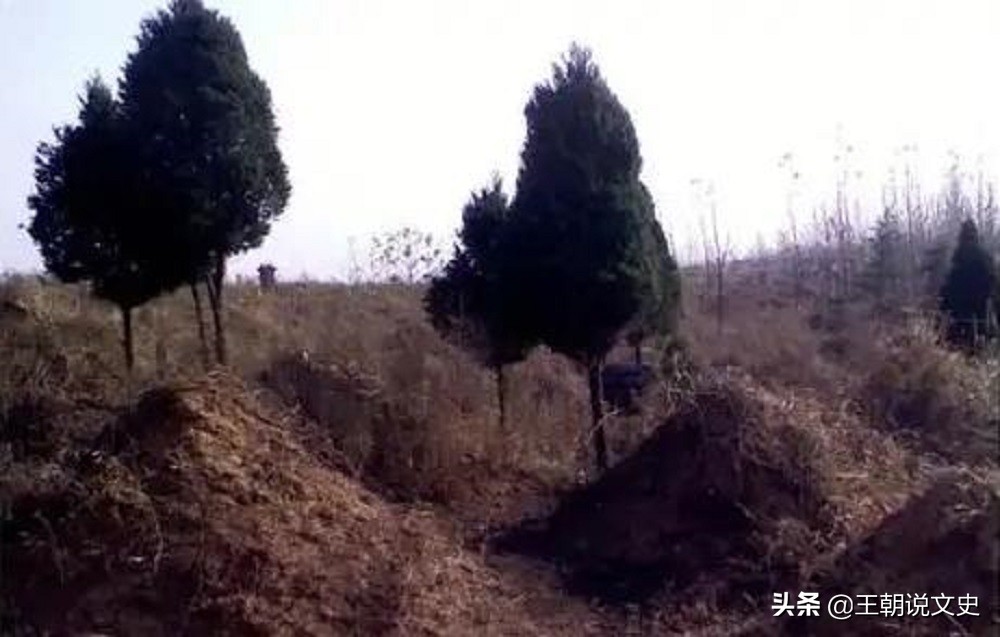 房前望见坟墓儿孙自寻活路,房子望见坟是凶还是吉