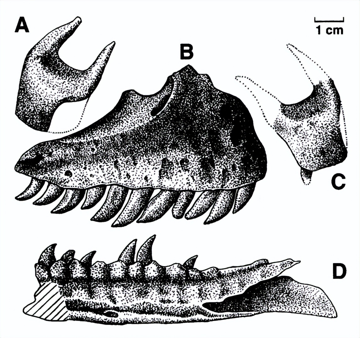 侏罗纪恐龙3,侏罗纪世界3里的恐龙讲解