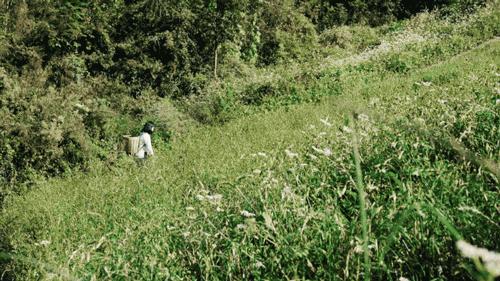 回归乡村的年轻人：自耕自食，无需财务自由