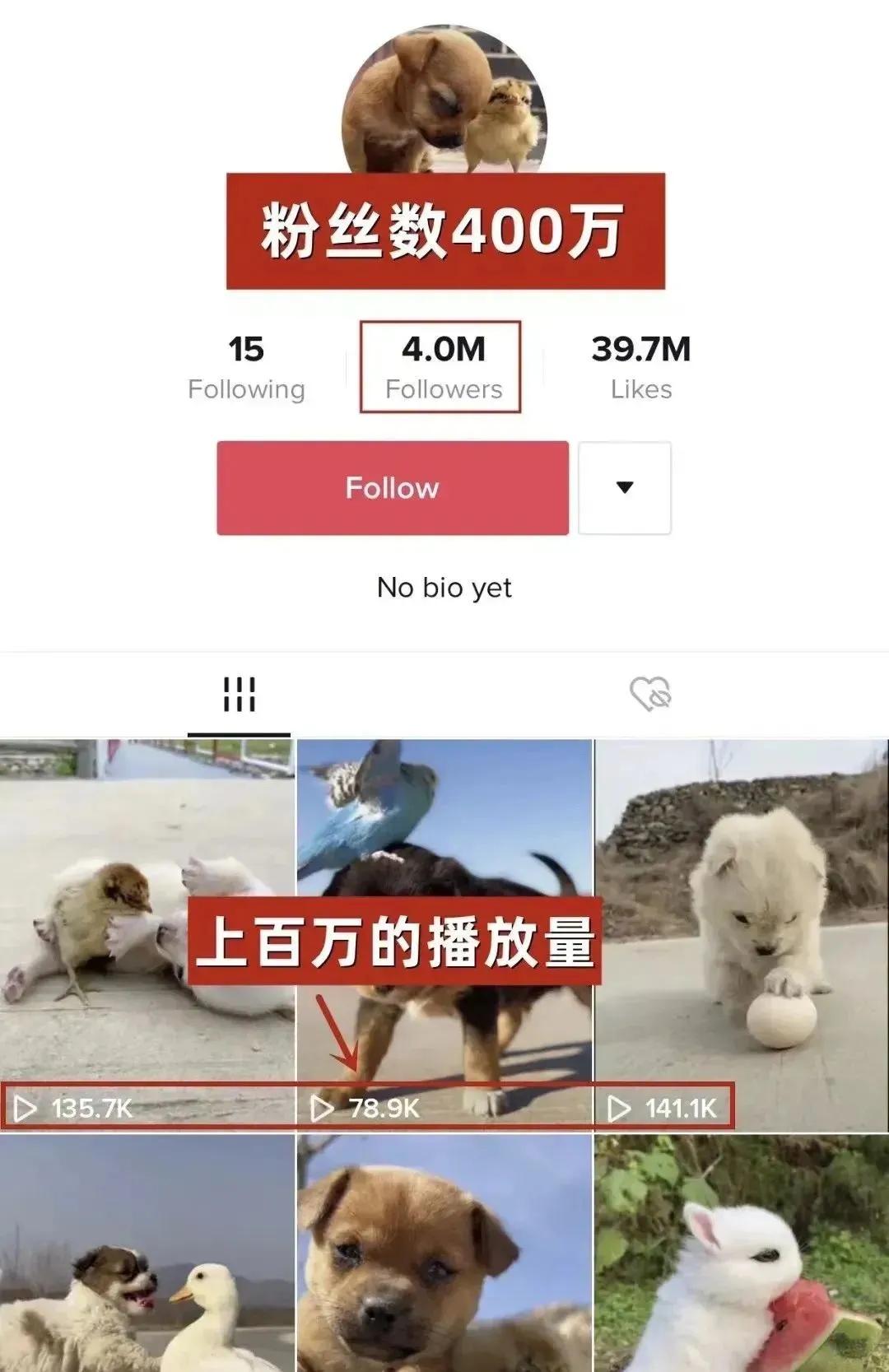 我通过海外（TikTok）全款买了房：你看不起的行业，往往很赚钱！