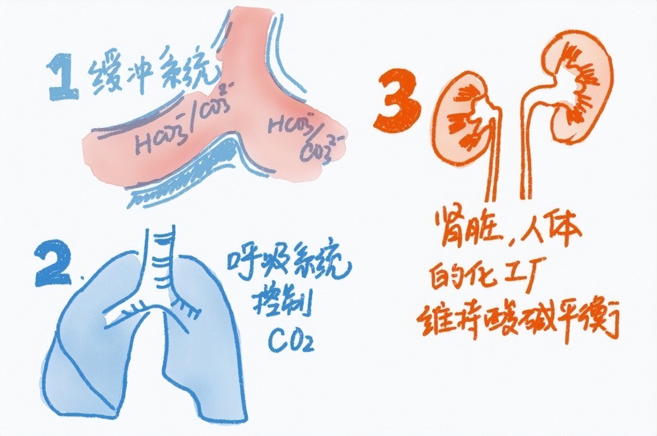 「医生，吃太多酸的东西会酸中毒吗？」，你该这样回答