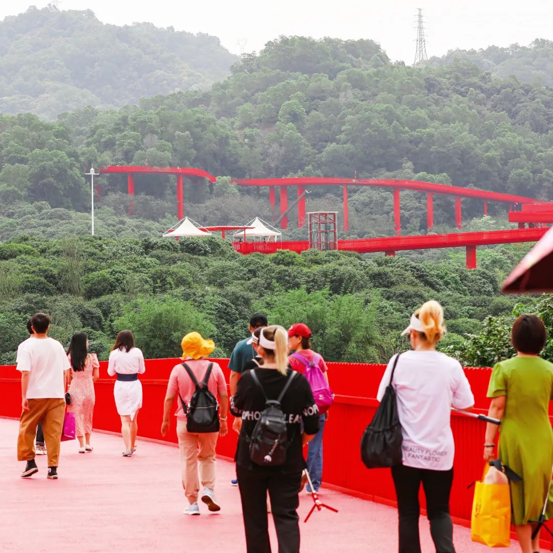 深圳光明城到香港一日游最佳攻略,港车北上国内自驾游视频