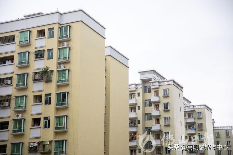 高明公租房最新消息,佛山高明公租房