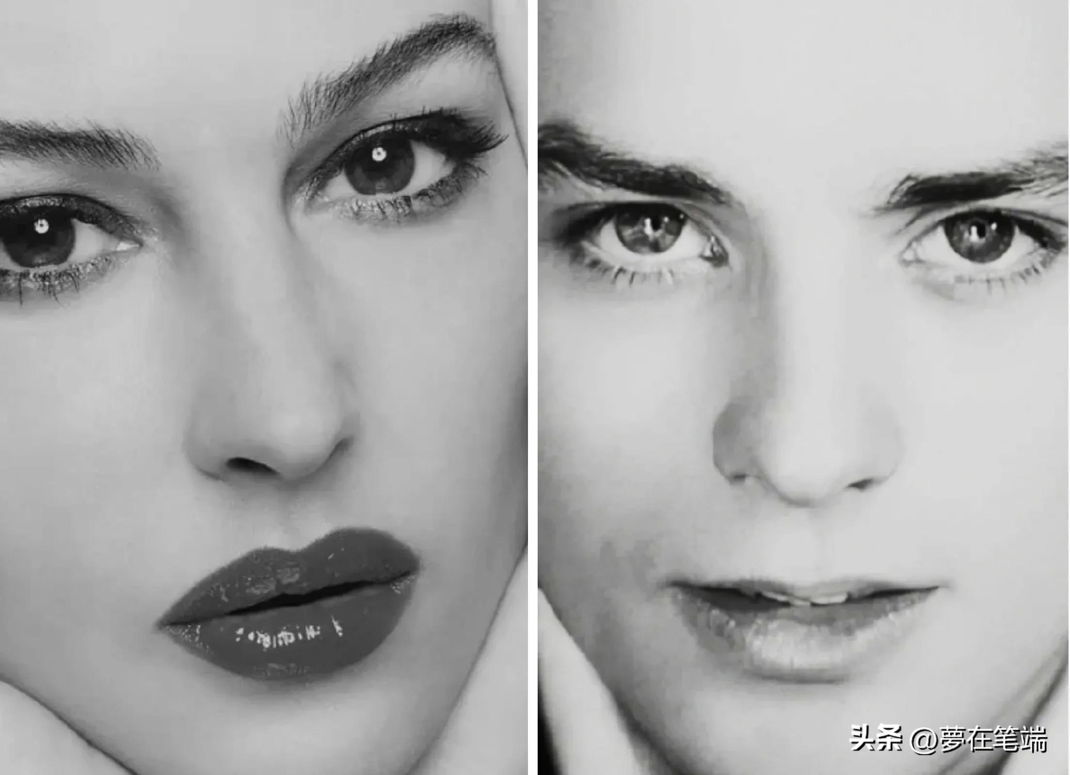 阿兰德龙和莫妮卡贝鲁奇广告,阿兰德龙和莫妮卡贝鲁奇什么关系