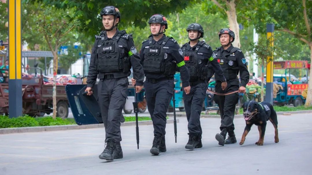 持续做好夏季治安打击整治行动,扎实开展夏季治安打击整治行动