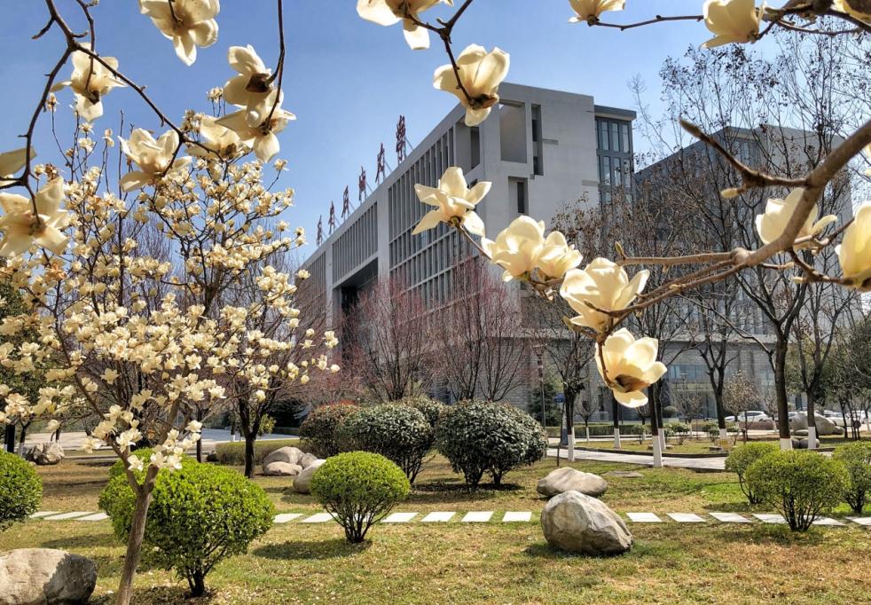 西安高校教师荣誉称号,陕西省教师一等奖名单