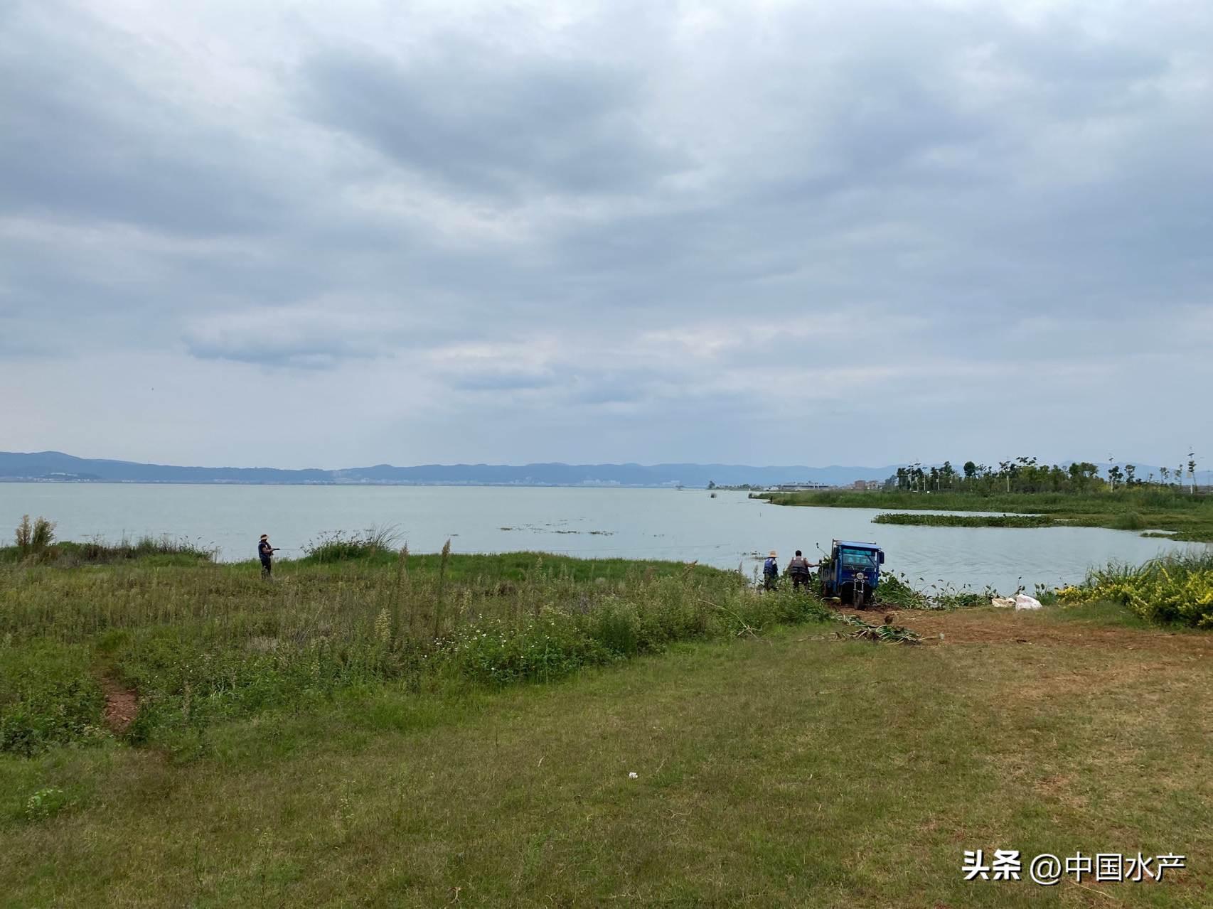 水生外来物种入侵防控工作方案,水生动物防疫