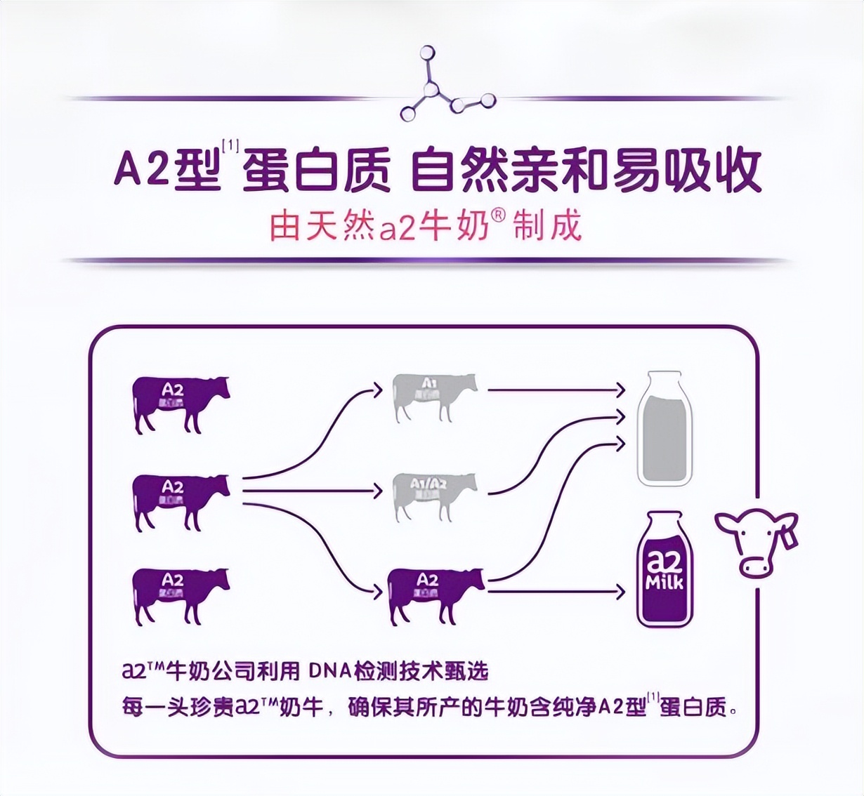 孕妇可以喝孕妇奶粉吗什么时间喝,怀孕喝孕妇奶粉对胎儿有什么影响