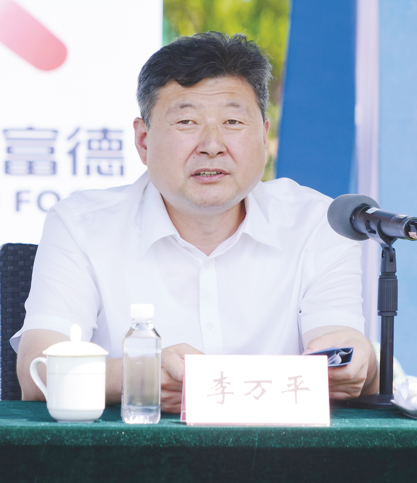 农墨重彩绘新景,农墨重彩绘丰景