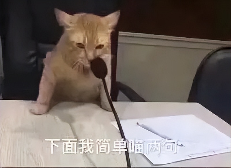 2023年如何挑选笔记本电脑,2023年笔记本性价比排行