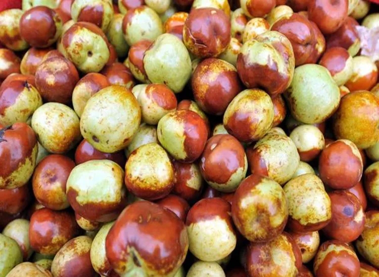 中秋节必吃100种食物,中秋节必吃的100种食物