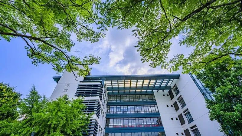 中国女足夺冠最大的功臣,中国女足亚洲杯夺冠绝杀功臣