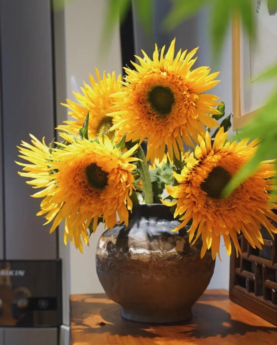 江苏发现一户人家太会装修而走红,安徽房屋室内装修隔断效果图