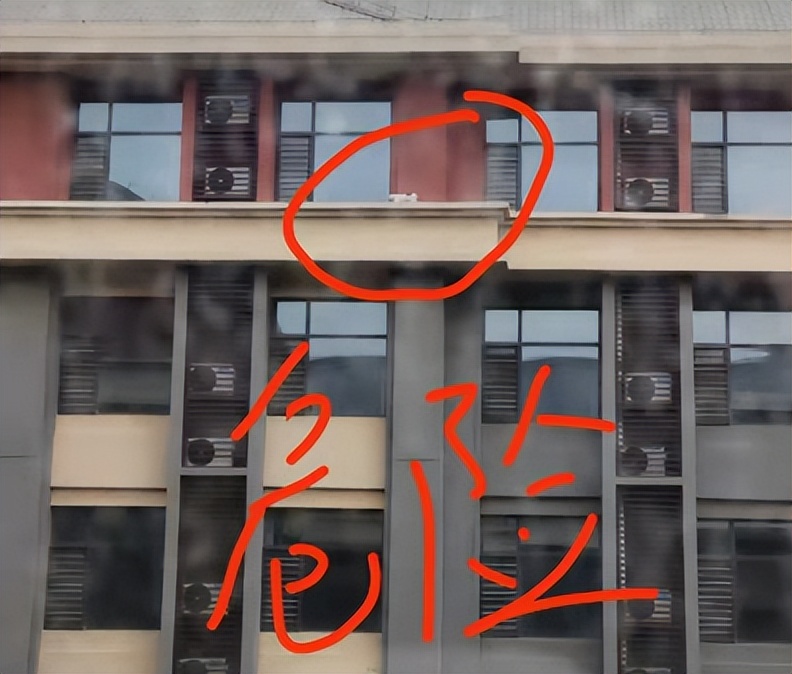 北中医猫,北中医校园