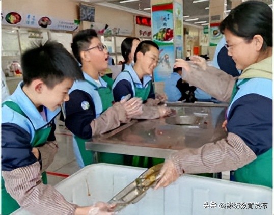 新闻周播报完整版,周播报抖音