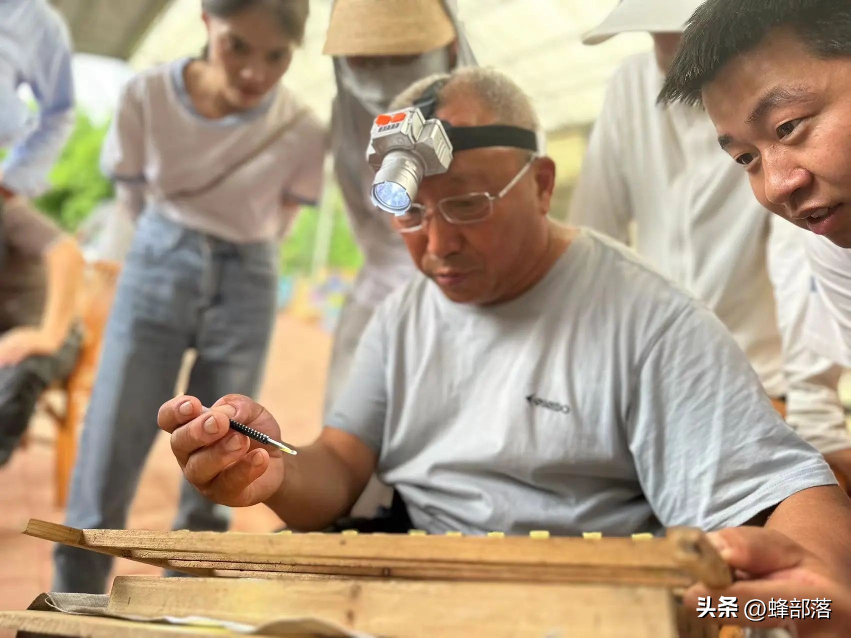 如何提高蜜蜂采蜜积极性,蜜蜂养殖技术全部视频播放