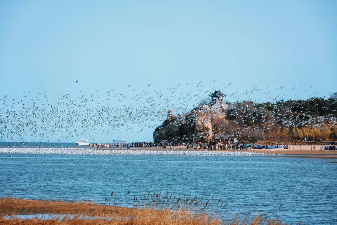 60岁之前必去的34省区最美天堂,最真实最美的旅游地方