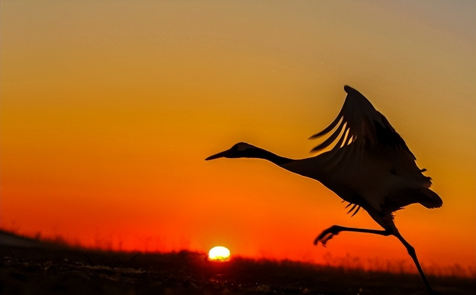 史上最精彩的8首《*园春沁**》，各有各的精彩，都是难得的佳作