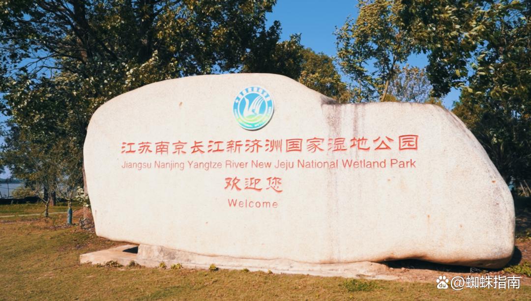 南京城东宝藏公园,南京小众宝藏地