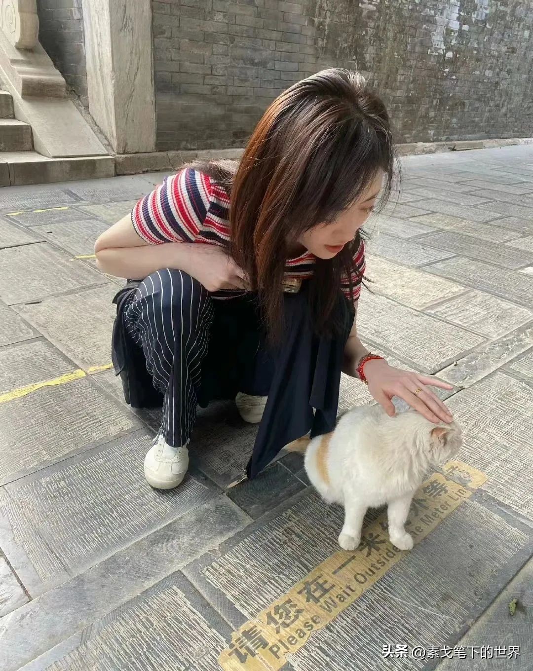 女子裸辞啃老,一姑娘裸辞回家有网友质疑啃老