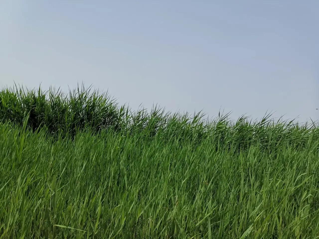 天津文化中心哪些免费,天津文化中心有几个博物馆