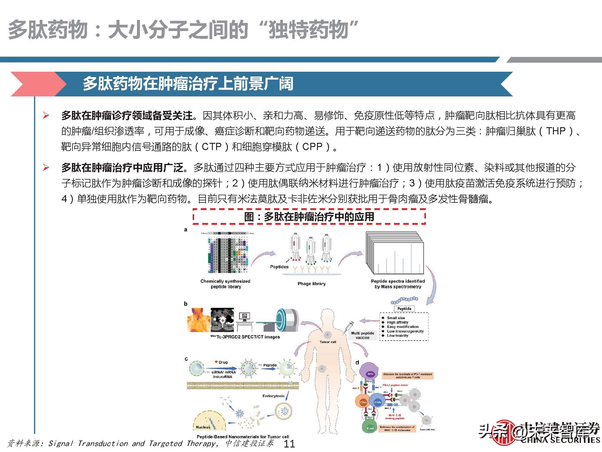 多肽药物前景,医药行业研究