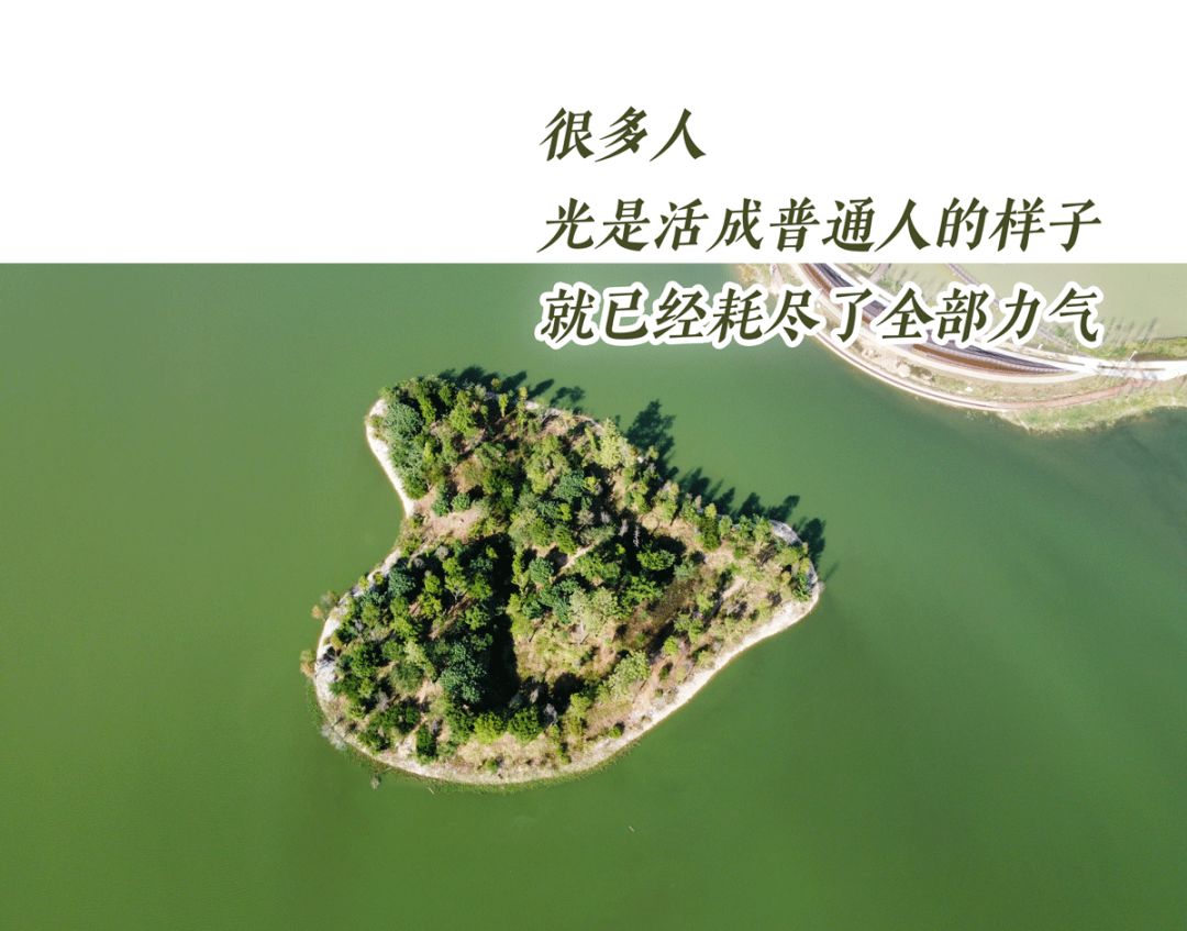 一睡醒，满床都是皮屑！“得了这病，剪发到一半就被赶出来”