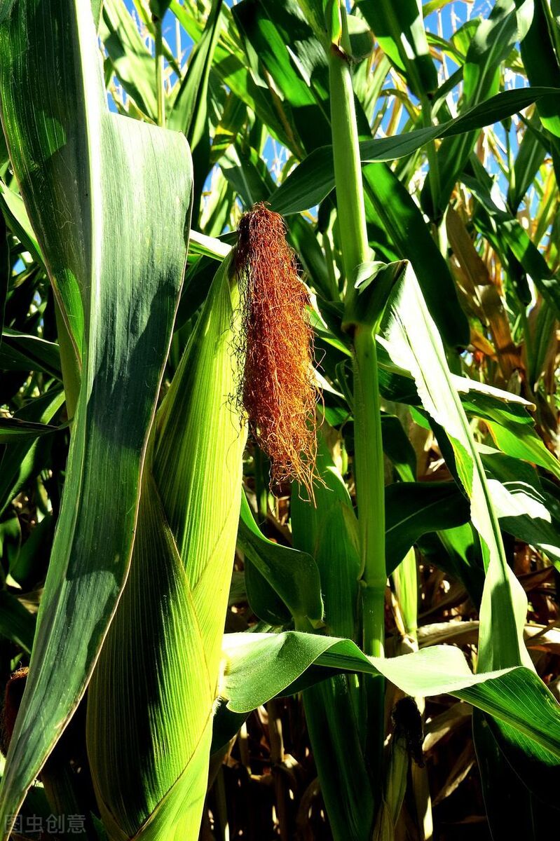 电影经典台词励志,电影经典台词配图