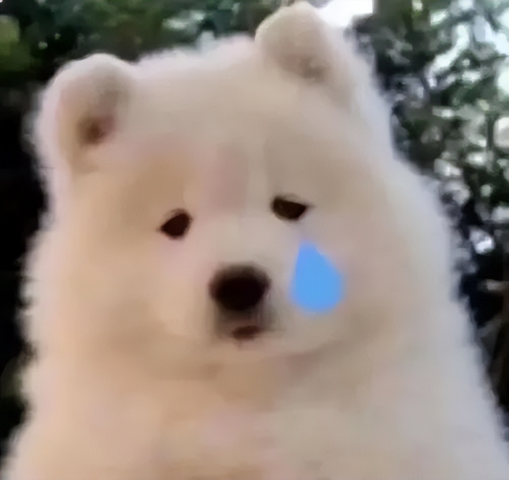 期末改卷碰上整活学生，批卷老师：请不要在数学卷上答政治！