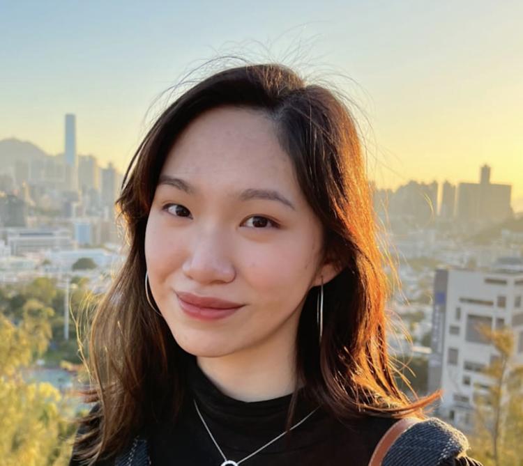 仁山智水山水画,仁山智水书法作品