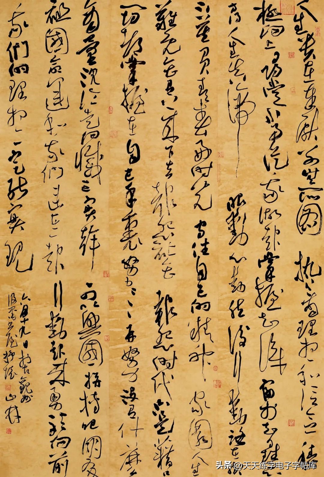 沈门七子书法展览,2023年沈门七子书法展石家庄