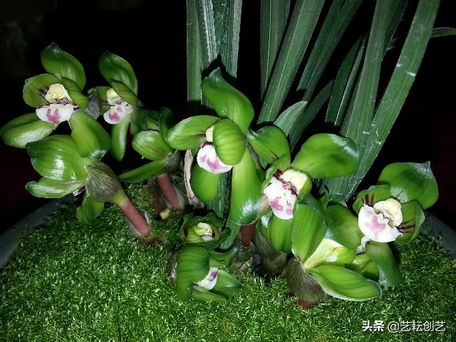 浙江省地理标志产品目录,全国地理标志农产品