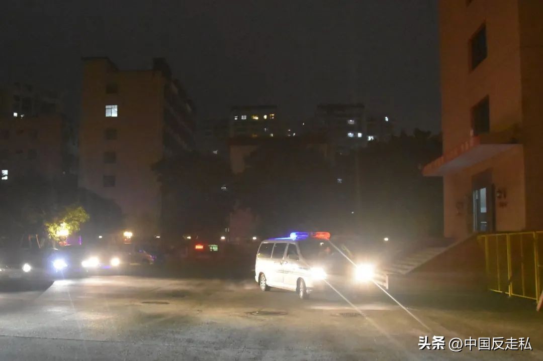 湛江海关缉私局走私最新新闻,湛江海关缉私事件