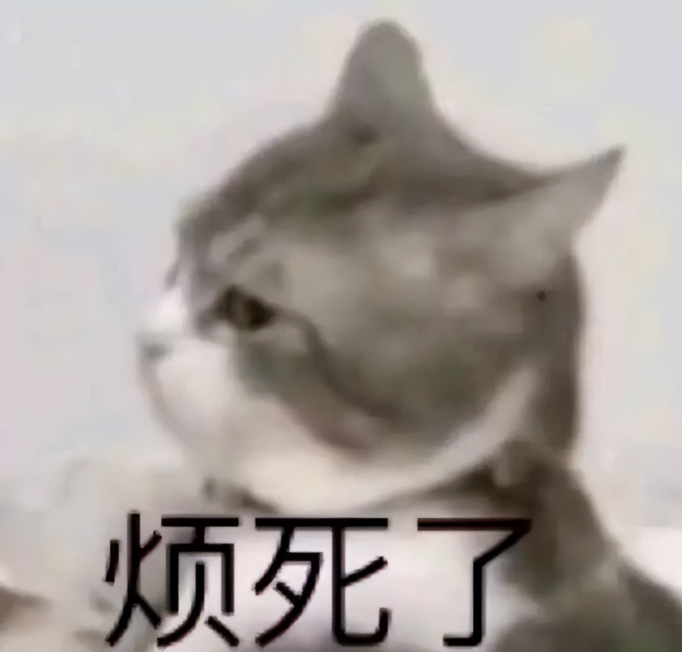 人在外地,却接到深圳的挪车电话?她打“83333333”解决了!