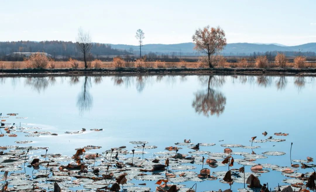诗经最美的30首诗,诗经最美的10首诗
