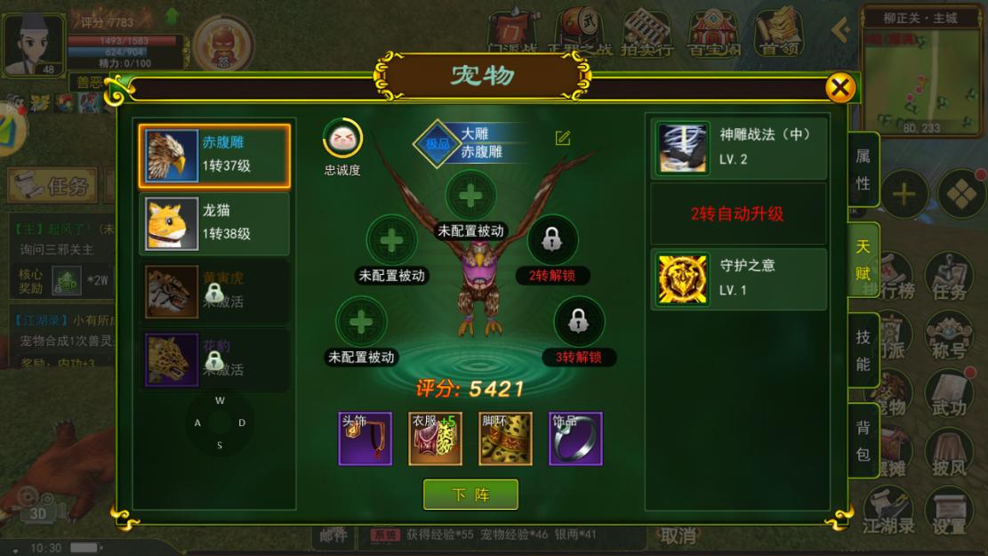 热血江湖宠物装备合成,热血江湖宠物最好装备