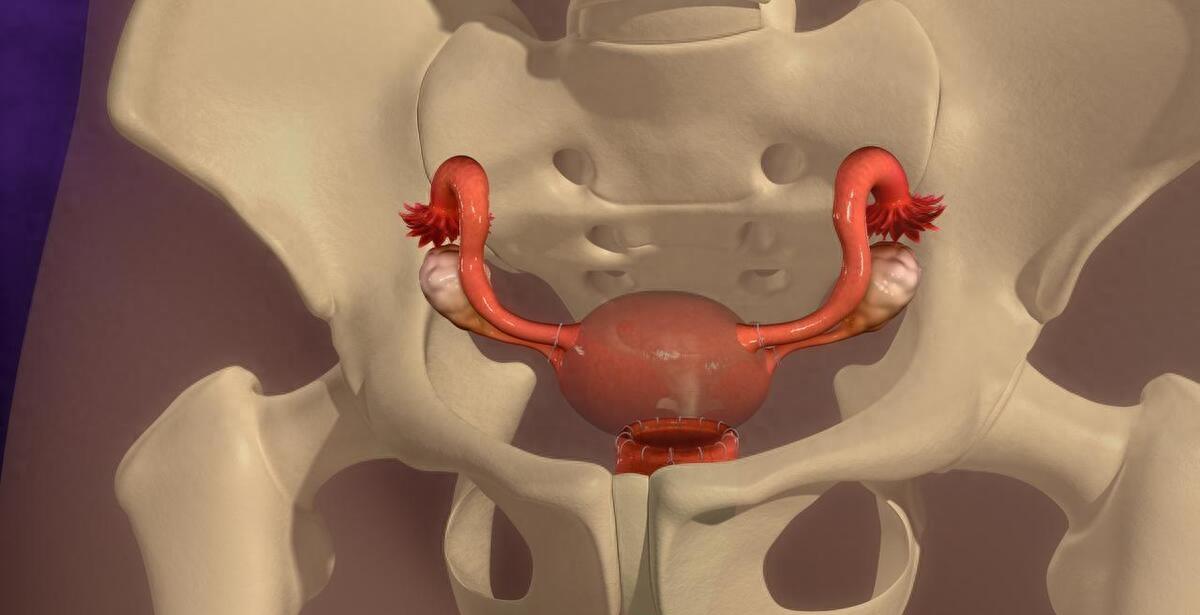 没有阴道的女人，和正常女性有哪些不同？还能有夫妻生活吗？