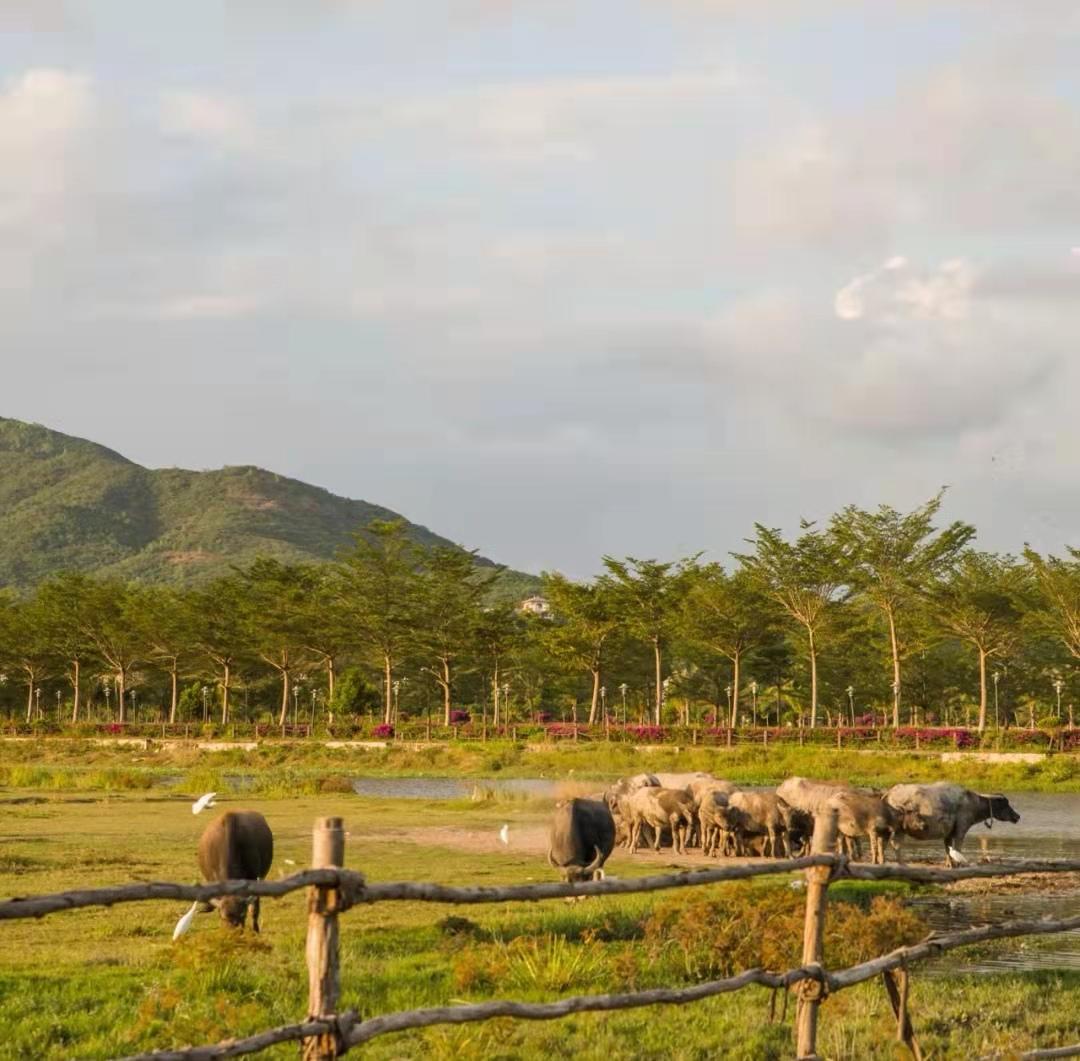 海南三亚旅游攻略景点大全,三亚蜜月旅游攻略7天费用