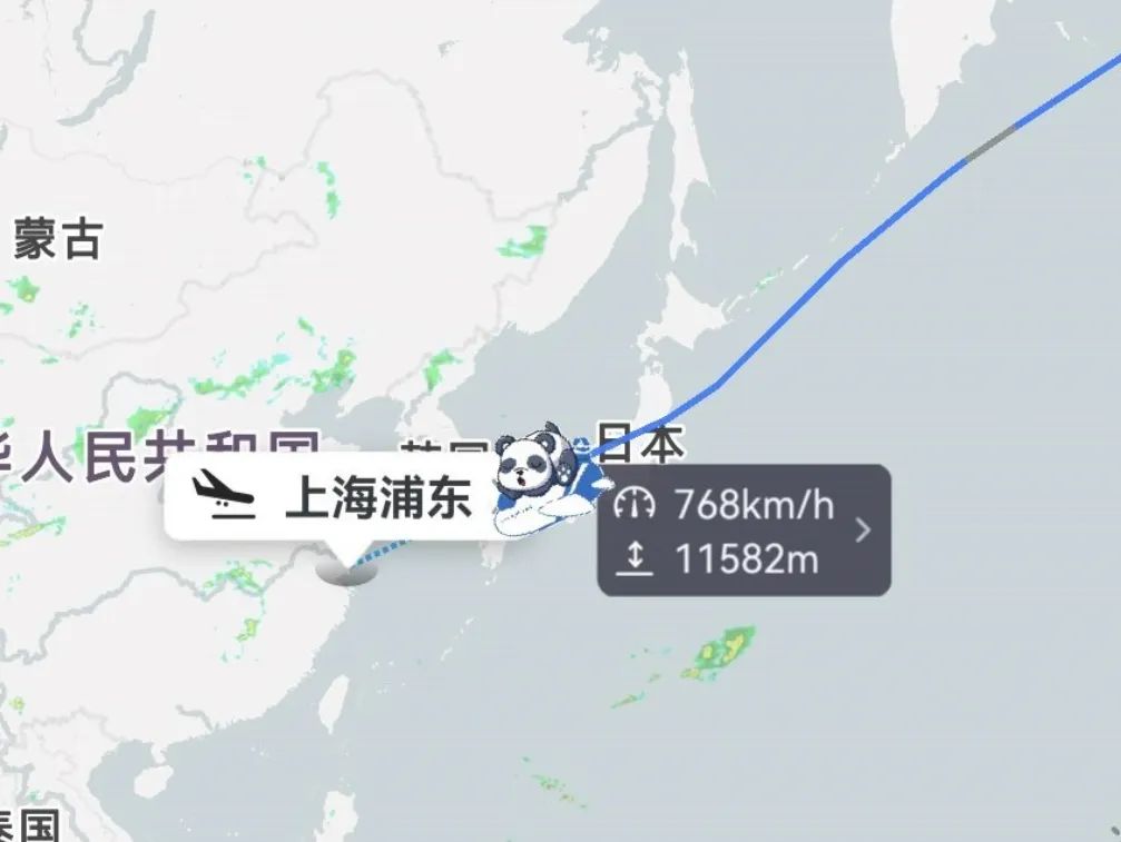 现在有多少人在关注丫丫,持续关注丫丫